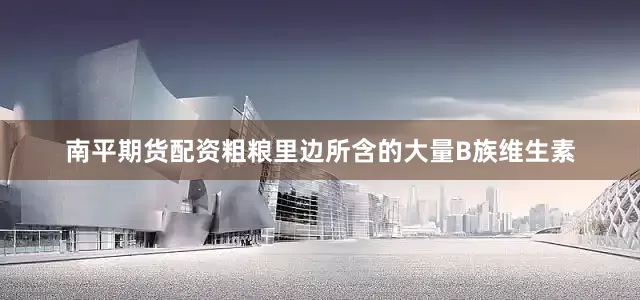 南平期货配资粗粮里边所含的大量B族维生素