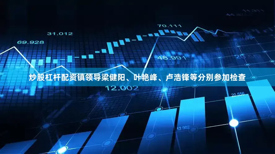 炒股杠杆配资镇领导梁健阳、叶艳峰、卢浩锋等分别参加检查