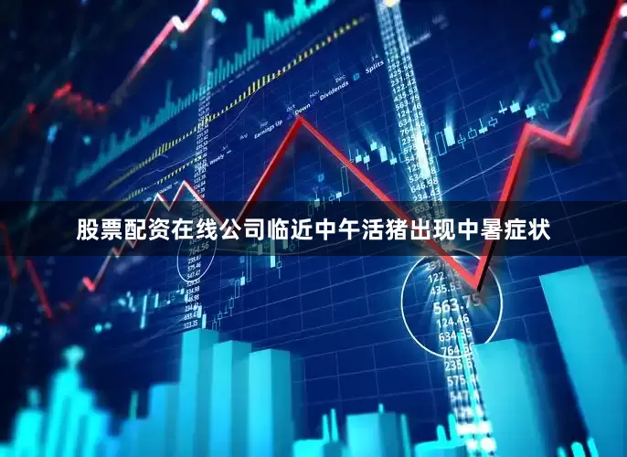股票配资在线公司临近中午活猪出现中暑症状